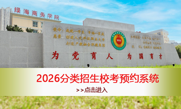 安徽绿海商务职业学院2026分类招生校考预约系统